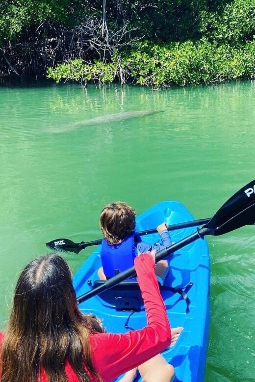 Miami: Manatee Season Paddleboard or Kayak Tour - FAQs
