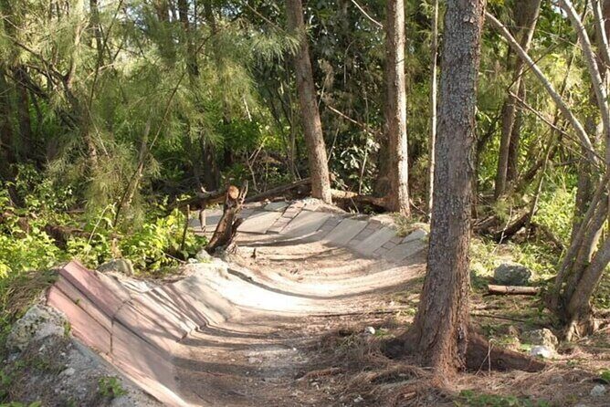 Miami Mountain Biking in Virginia Key Trails - What You Can Expect from the Trails