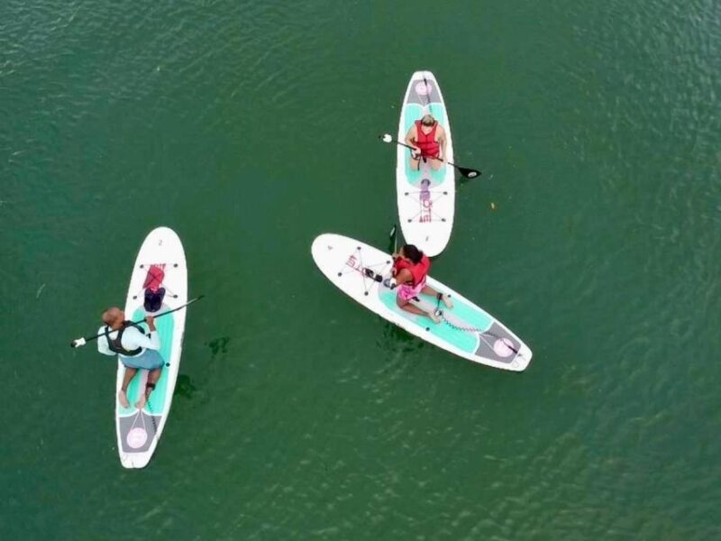 Miami: Paddle Board or Kayak Rental in Virginia Key - Exploring Lamar Lake and Virginia Key