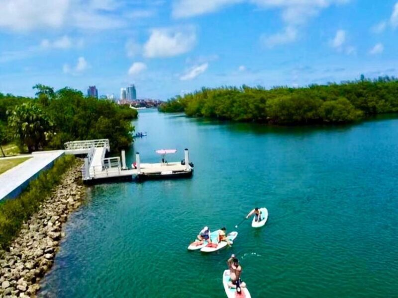 Miami: Paddle Board or Kayak Rental in Virginia Key - The Wildlife and the Natural Surroundings