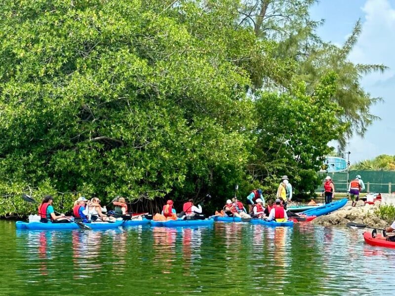Miami: Paddle Board or Kayak Rental in Virginia Key - Practical Tips for a Great Paddleboard or Kayak Trip