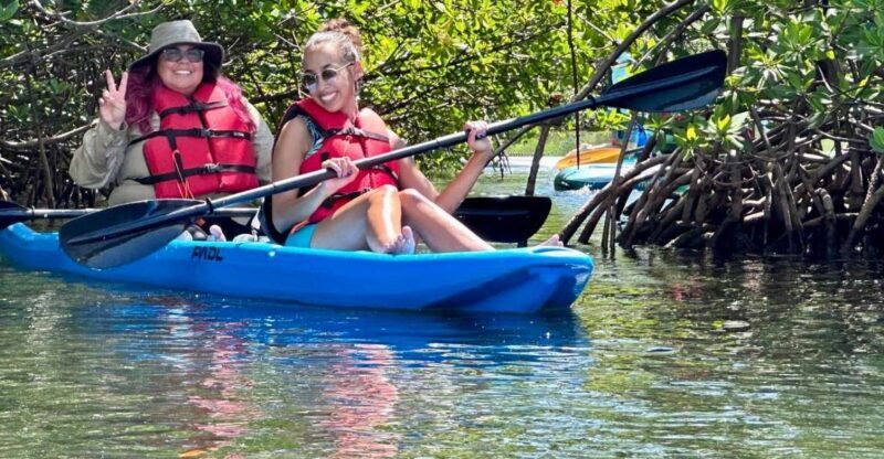Miami: Paddle Board or Kayak Rental in Virginia Key - Who Will Love This Experience?