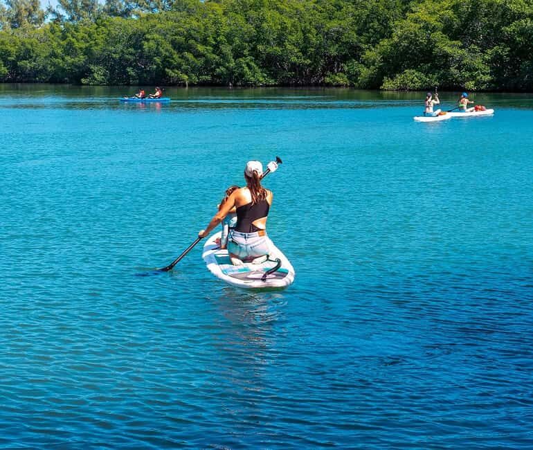 Miami: Paddle Board or Kayak Rental - PADL Beach Club - Exploring Biscayne Bay from the Water