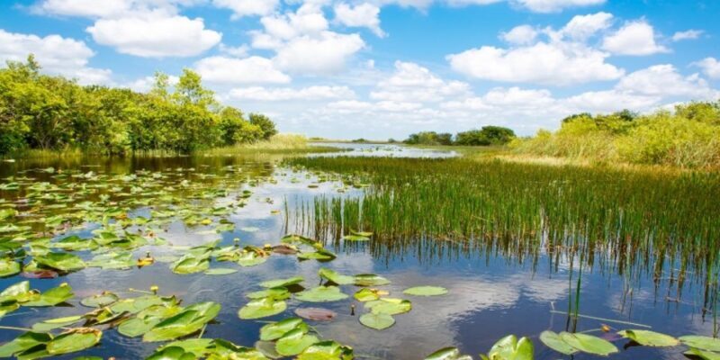 Miami Premium Everglades Driving Tour with Airboat Ride - FAQ