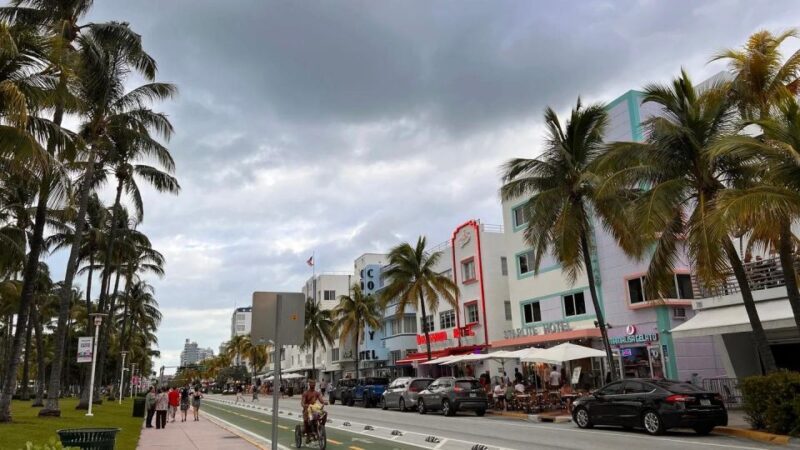 Miami: Private Iconic neighborhoods sightseeing tour - An In-Depth Look at the Miami Private Neighborhood Tour