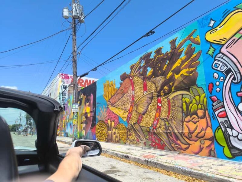 Miami: Private tour in a convertible Mustang in French - Final Thoughts