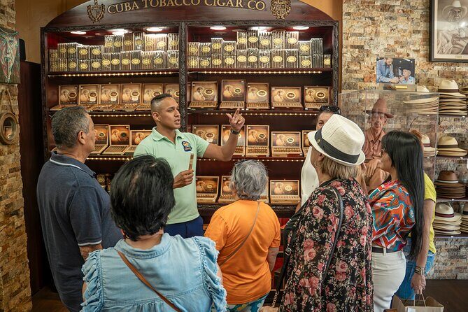 Miami Sightseeing and walking tour: Top Sights & Hidden Gems - Discovering Miami’s Neighborhoods: A Balance of Iconic and Local