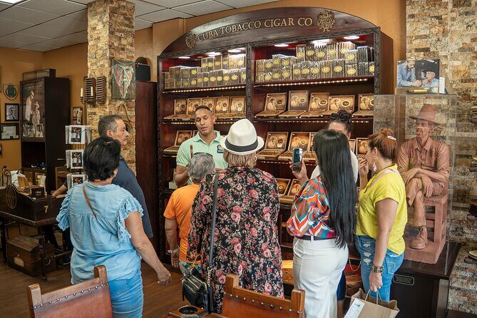 Miami Sightseeing and walking tour: Top Sights & Hidden Gems - How the Tour Feels in Practice