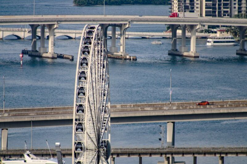 Miami: Small Group Tour w/Everglades, Little Havana & Cruise - Learning from Reviews