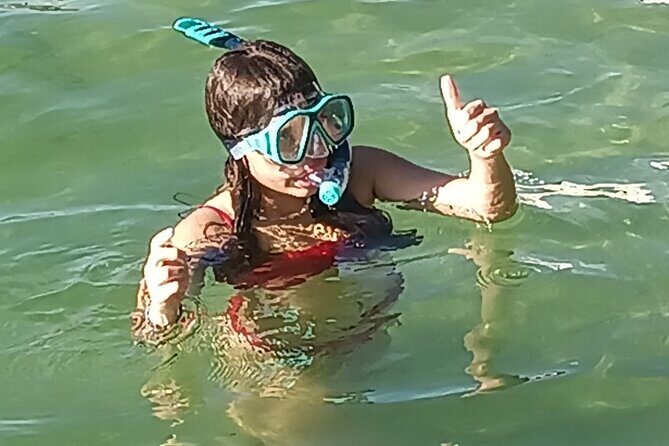 Miami: Snorkel adventure & Sandbar Trip - What to Expect from the Miami Snorkel & Sandbar Tour