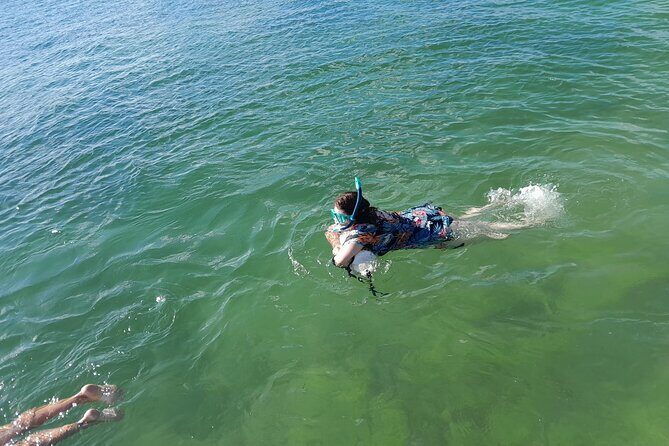Miami: Snorkel adventure & Sandbar Trip - Who Should Consider This Tour?