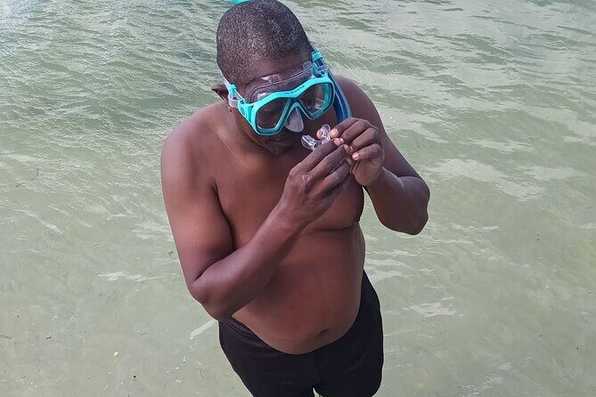 Miami: Snorkel adventure & Sandbar Trip - The Sum Up: Is It Worth It?