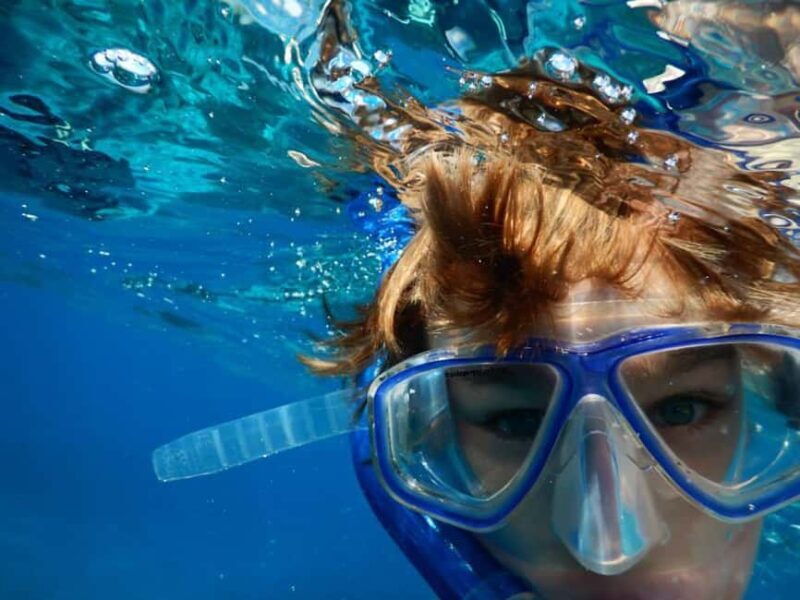 Miami Snorkeling for Beginners from Bayside Market Place - The Secluded Island and Sandbar: The Main Event