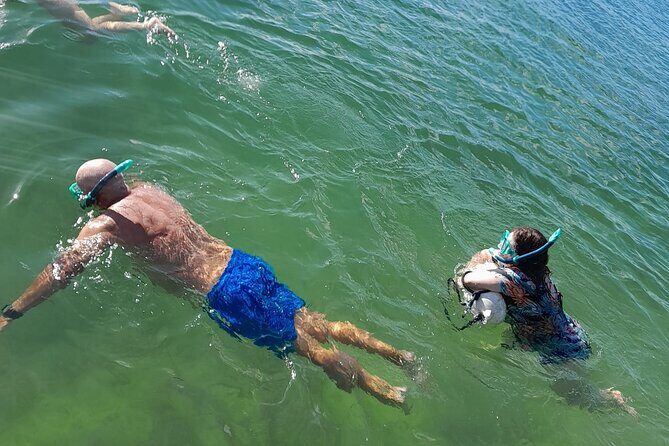 Miami: Snorkeling for Beginners Private Tour - Who Is This Tour Best For?