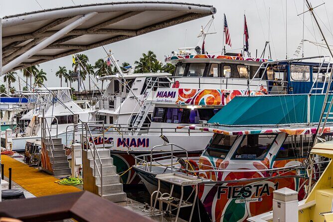 Miami Sunset and City Lights Cocktail Cruise - Who Should Consider This Cruise?