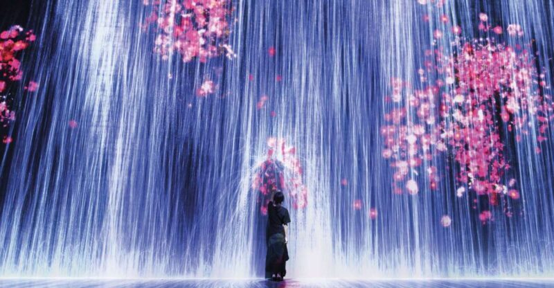 Miami: 'Superblue Miami' Immersive Art Experience Ticket - The Exhibits: A Closer Look