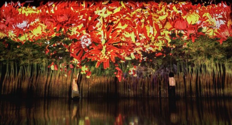 Miami: 'Superblue Miami' Immersive Art Experience Ticket - The Sum Up: Who Will Love Superblue Miami?