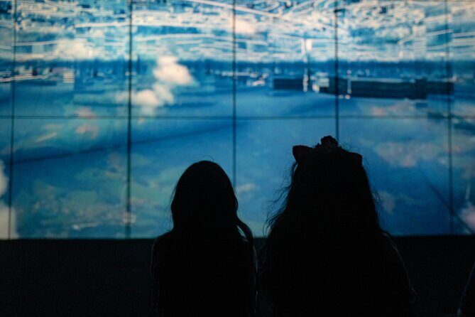 Miami: Superblue Miami Immersive Art Experience Ticket - Who Will Love It?