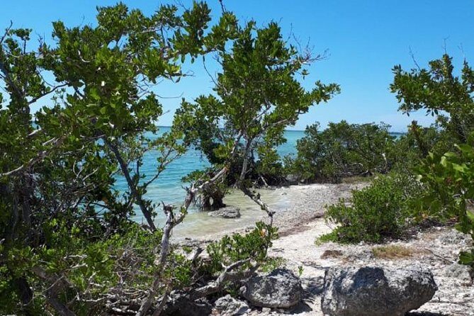 Miami to Key West Day Trip Transportation - The Experience Breakdown: What to Expect on Your Day