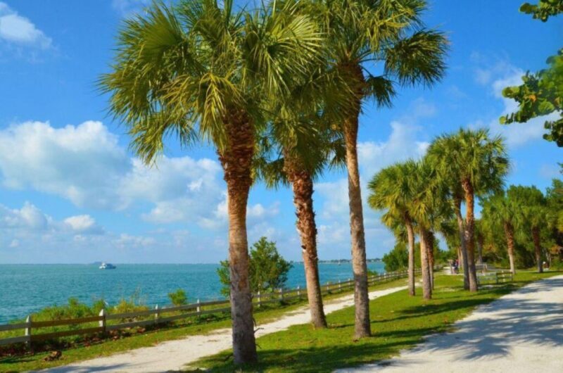 Miami: Visit to the Lighthouse - Key Biscayne - Brickell - An In-Depth Look at What You Can Expect