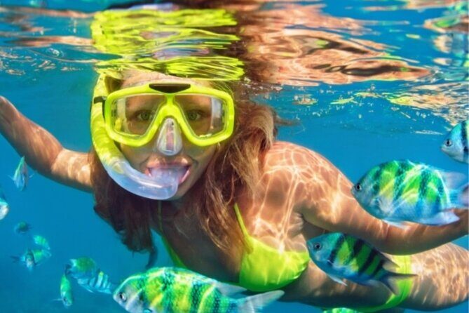 Miami Water Tour with water Activities Included Ocean Playground - The Sum Up