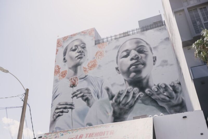 Miami: Wynwood Walking Tour - Miami: Wynwood Walking Tour - A Colorful Journey Through Art and Transformation