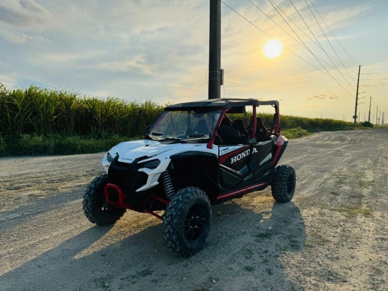Miami's Ultimate Buggy Adventure on a Honda Talon UTV - Key Points
