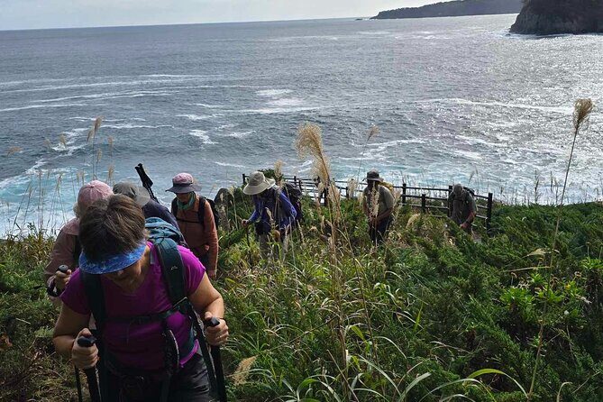 Michinoku Coastal Trail & Sea Kayak in Jodogahama - Practical Details and Value
