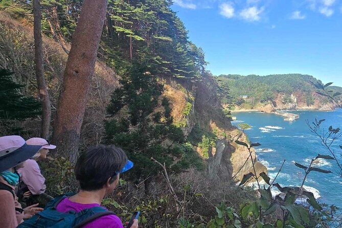 Michinoku Coastal Trail & Sea Kayak in Jodogahama - The Sum Up: Why Choose This Tour?