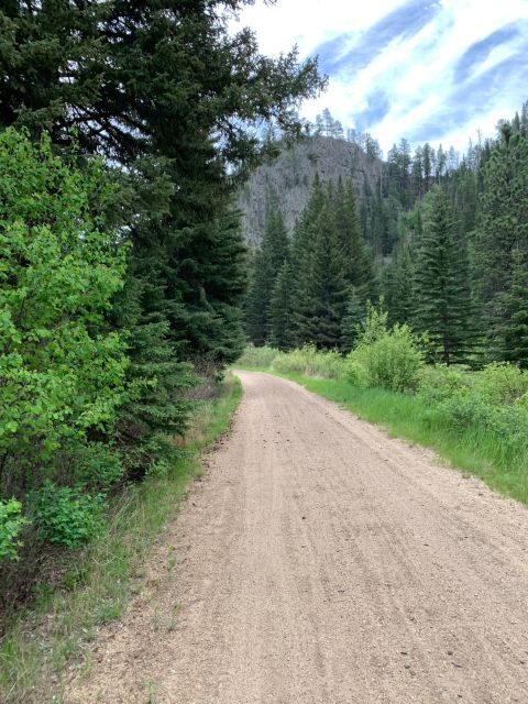 Mickelson Trail: 20-Mile Private Bicycle Tour - An In-Depth Look at the Mickelson Trail Private Bicycle Tour