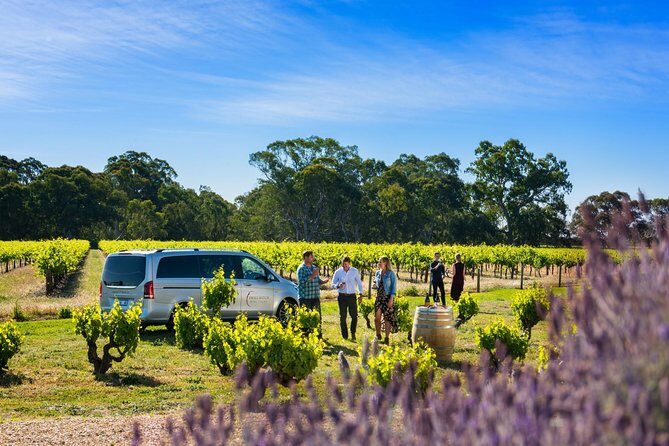 Micro-Group Barossa Valley Wine Tour from Adelaide - Exploring the Itinerary: What to Expect