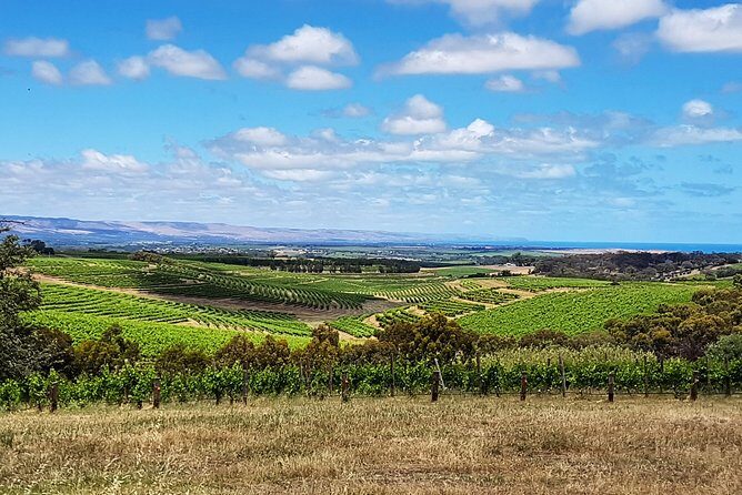 Micro-Group McLaren Vale Wine Tour from Adelaide - Practical Details and Considerations