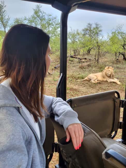 Mid-Range Kruger & Panorama All-Inclusive Safari from Joburg - Key Points