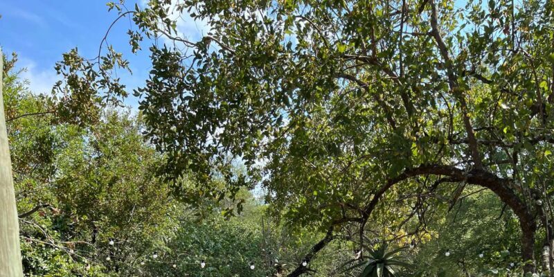 Mid-Range Kruger & Panorama All-Inclusive Safari from Joburg - Who Is This Tour Best For?