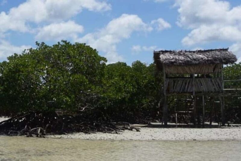 Mida Creek: Mangrove Forest and Lagoon Guided Tour Malindi - Introduction: What Makes This Tour Special?