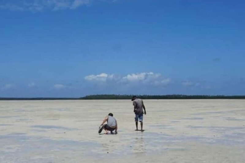 Mida Creek: Mangrove Forest and Lagoon Guided Tour Malindi - The Bottom Line: Is It Worth It?