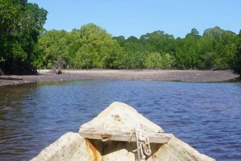 Mida Creek: Mangrove Forest and Lagoon Guided Tour Malindi - FAQ