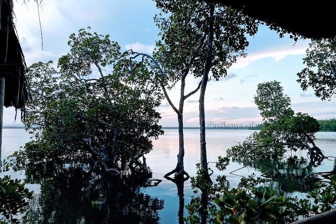 Mida Creek Safari Blue - Key Points