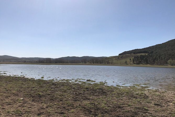 Middle Atlas , Cedar Forest and Azrou Day Trip from Fez - The Sum Up