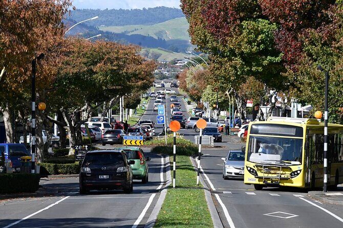 Middle Earth Private Tour from Tauranga Cruise Port. Tickets incl - An Overview of the Tour Experience
