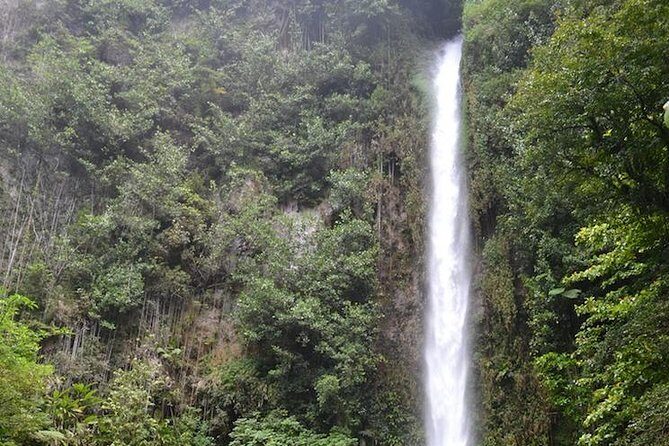 Middleham Falls Hike and Ti'tou Gorge Half-Day Excursion - Key Points