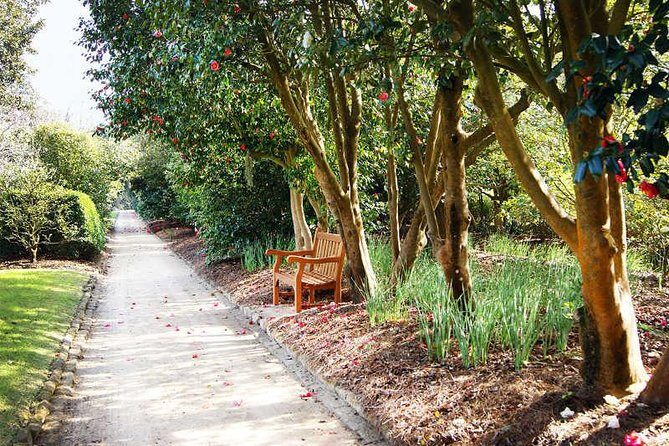 Middleton Place Admission with Self Guided Tour and Lunch - Who Should Consider This Tour?