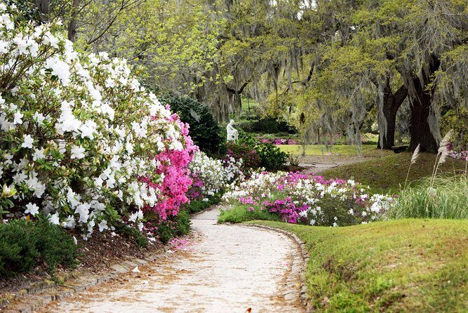 Middleton Place Admission with Self Guided Tour and Lunch - The Sum Up