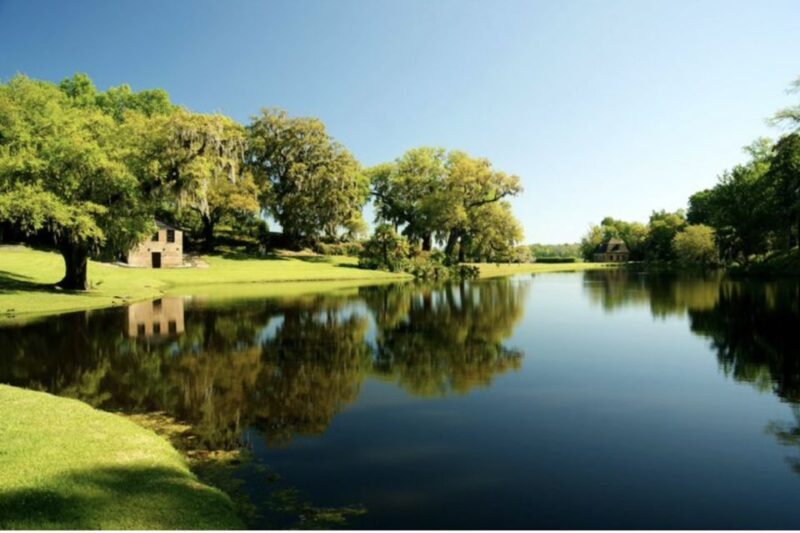 Middleton Place Plantation Tour - Who Guides the Tour and Why It Matters