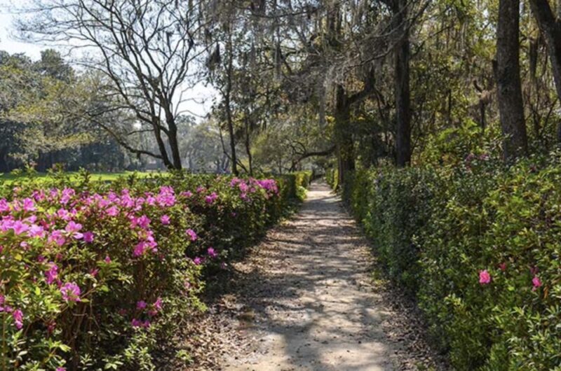 Middleton Place Plantation Tour - Authenticity and Educational Focus