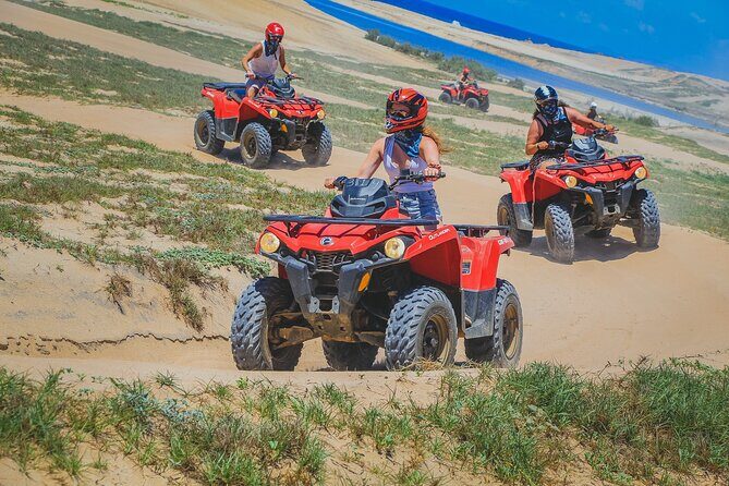 Migriño Beach & Desert ATV Tour in Cabo - The Ending: Tequila Tasting & Return