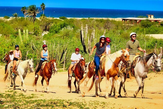 Migriño Beach Horseback Riding Experience - An In-Depth Look at the Migriño Beach Horseback Ride