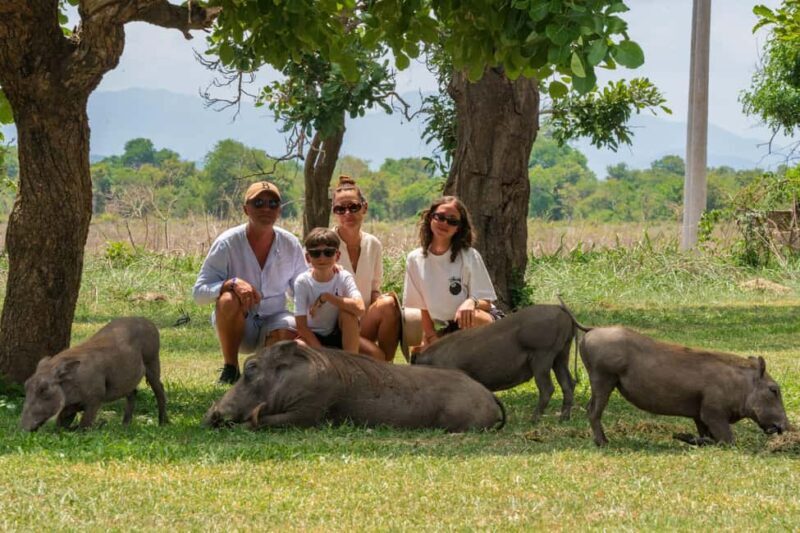 Mikumi Day Safari Tour - Key Points
