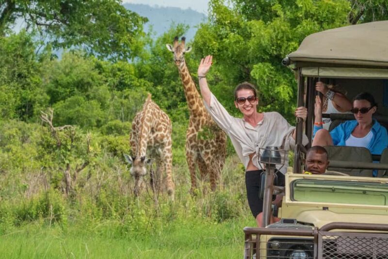 Mikumi Day Safari Tour - A Closer Look at the Mikumi Day Safari Experience