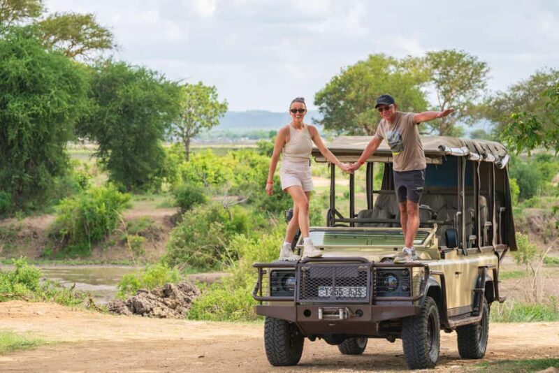 Mikumi Day Safari Tour - The Sum Up: Is It Worth It?